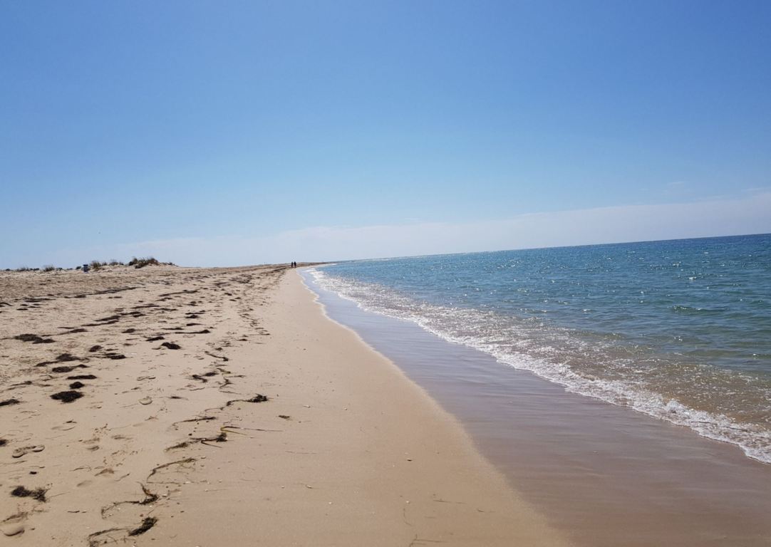 Ilha da Armona The Complete Guide to The 1 Island of Olhão