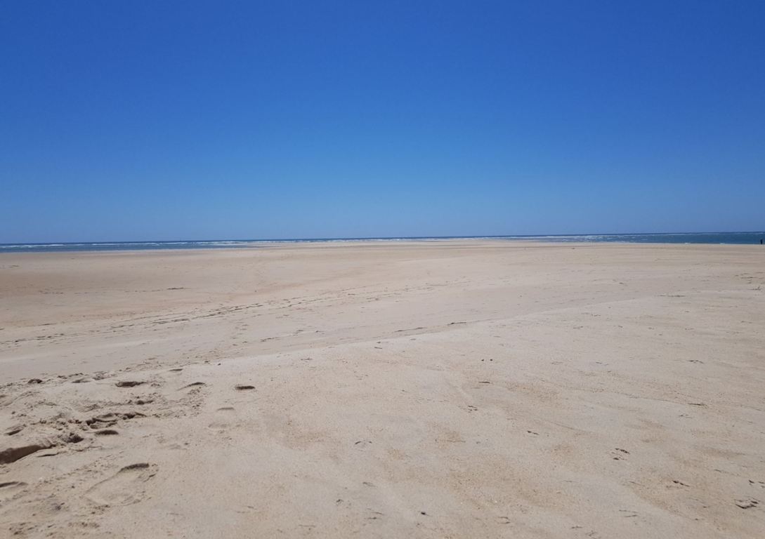 Ilha da Armona The Complete Guide to The 1 Island of Olhão