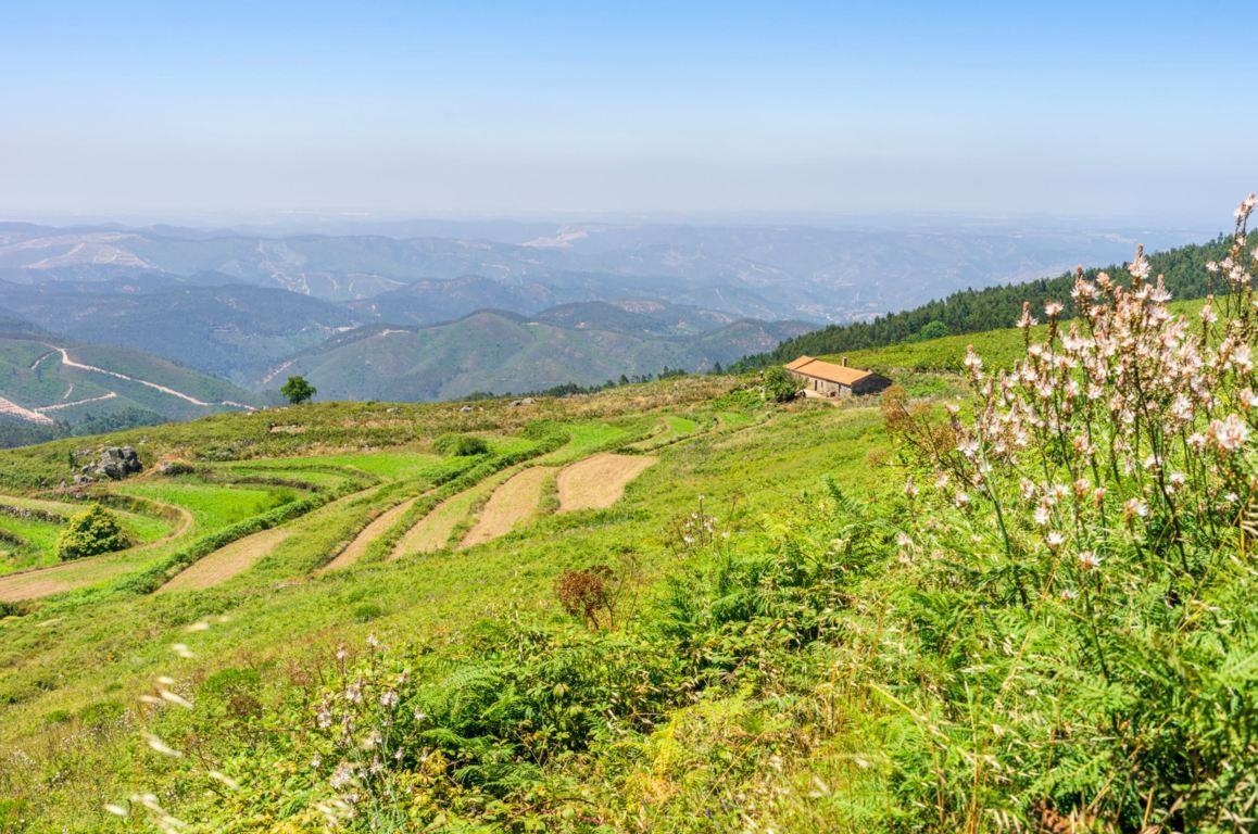 Monchique: The #1 Guide to The Greenest Town of the ...